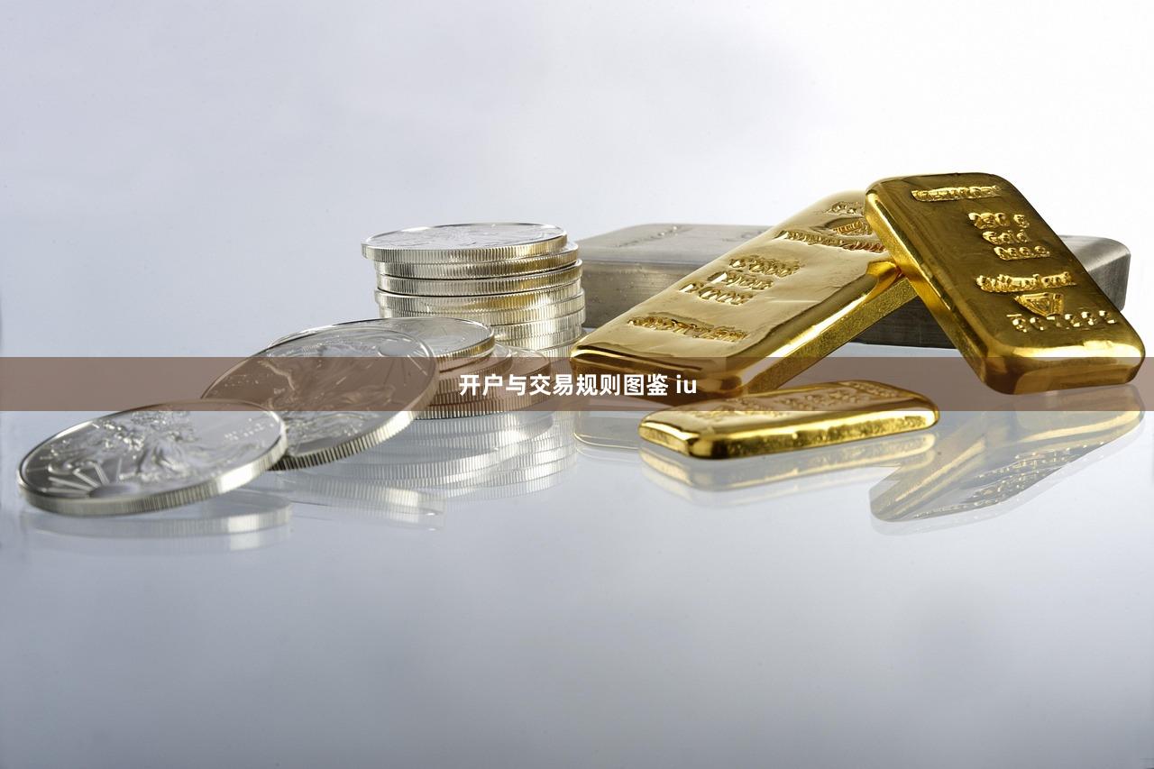 开户与交易规则图鉴 iu